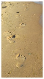 footprints footprints in the sand