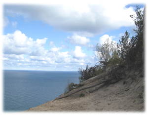 Clear Horizons Clear Horizon for Celestial Vibrations