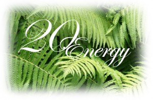 Twenty Energy